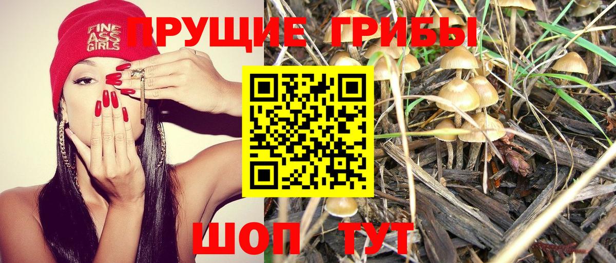 Галлюциногенные грибы ЛСД Вятские Поляны