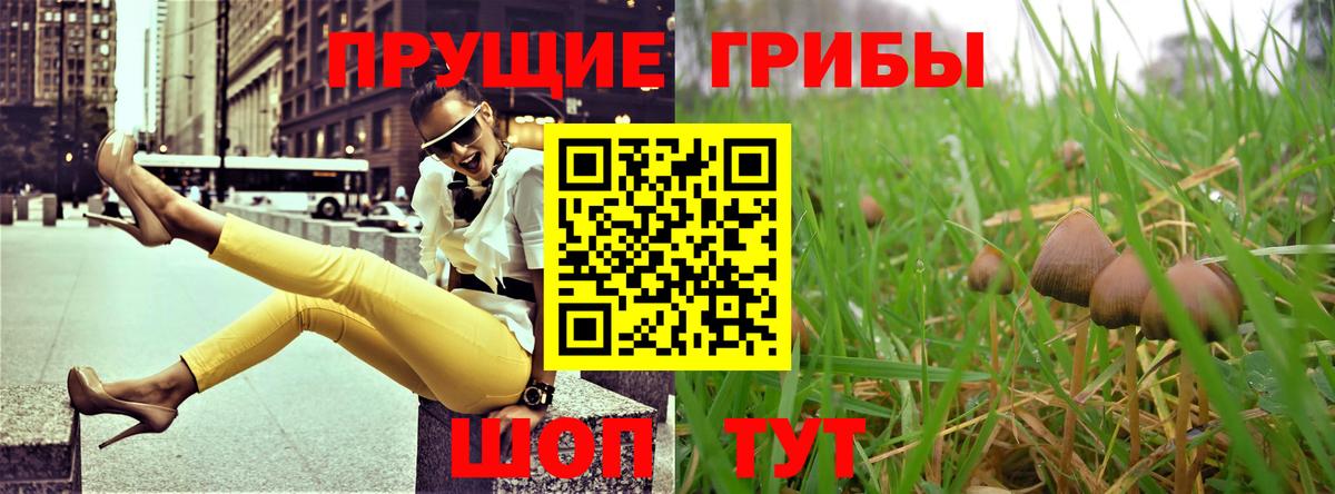 Псилоцибиновые грибы ЛСД  Вход с VPN  Вятские Поляны  Галлюциногенные грибы Psilocybine cubensis 